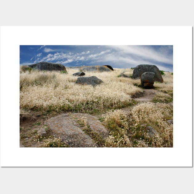 Grass Tails among the Granite Wall Art by jwwallace